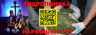 сатива Заводоуковск