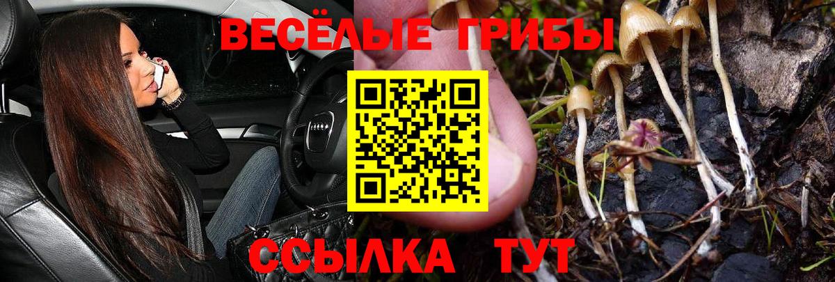 Галлюциногенные грибы мицелий Мариинск