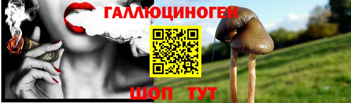 Мариинск  Псилоцибиновые грибы Magic Shrooms  Вход с VPN 